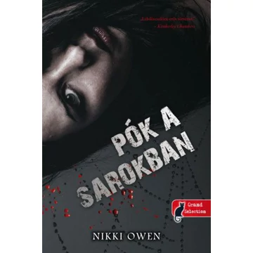 Pók a sarokban