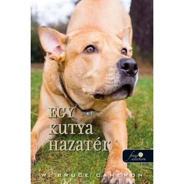 Egy kutya hazatér (Egy kutya hazatér 1.)