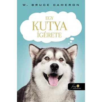 Egy kutya ígérete