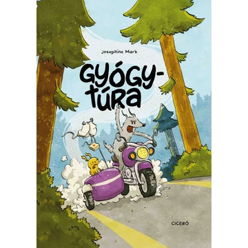 Gyógytúra