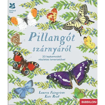 Pillangót szárnyáról – 20 lepkemodell részletes ismertetővel