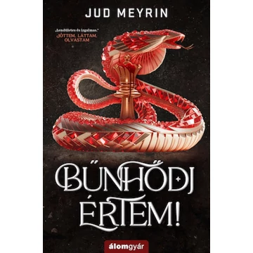 Bűnhődj értem!