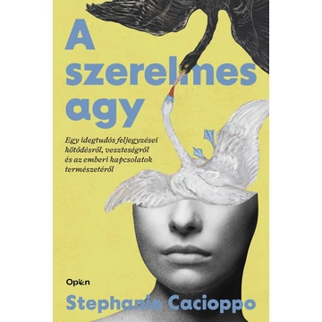 A szerelmes agy
