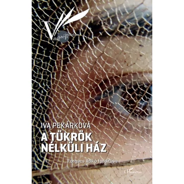 A tükrök nélküli ház