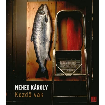 Kezdő vak