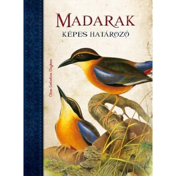 Madarak