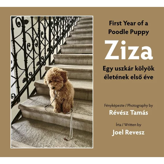 Ziza