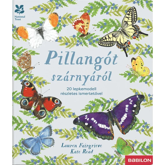 Pillangót szárnyáról – 20 lepkemodell részletes ismertetővel