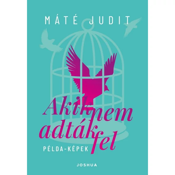Akik nem adták fel - Példa-képek