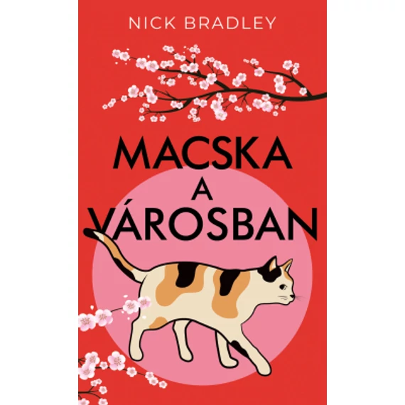Macska a városban