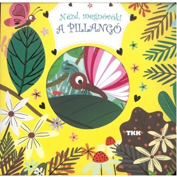 Nézd megnövök! - A pillangó