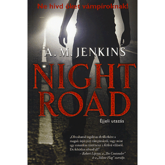 Night road - éjjeli utazás